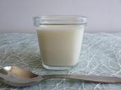yaourts diététiques maison riches fibres sirop d'agave poudre (sans sucre)