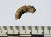 Pays Galles: mystérieux objet cuivre découvert dans tombe Néolithique