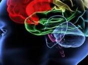 Tissus cérébral mieux comprendre cerveau aussi acouphènes