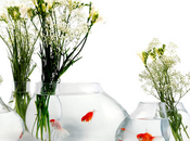Coup vase aquarium