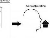 MICROBIOME intestinal: joue aussi mental BioEssays