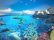 réalité virtuelle intégrée dans piscine