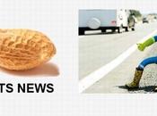 Connaissez-vous HitchBot, robot autostoppeur Peanuts-News