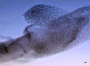 entreprise peut-elle passer dirigeant