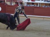 Bayonne corrida d'adolfo martin