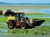 Pollution nitrates cour justice européenne condamne nouvelle fois France