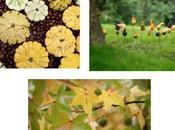 DOMAINE CHAUMONT-SUR-LOIRE Découvrez “Splendeurs d’automne” lors promenades végétales beaux jours l’automne leurs extraordinaires couleurs