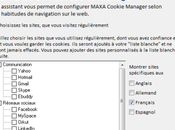 Comment analyser gérer cookies Windows