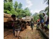 Amazonie tribu s’attaque déforestation