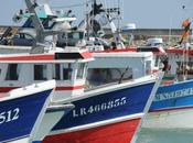 Rochelle bateaux seront stockés port 2015