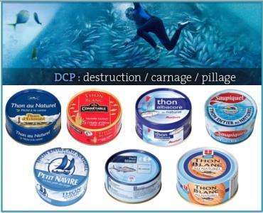 Protection des océans : quelle boîte de thon choisir ?