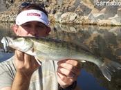 pêche difficile Villerest (42)