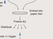 #génie-génétique #in-vitro #glucose-sensors #Ebola Réseau gènes synthèse support papier