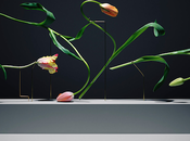 PHOTOGRAPHIE Postures Carl Kleiner