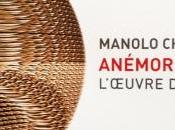 Galerie Arnaud BARD exposition MANOLO CHRETIEN Anémorphose L’oeuvre vent