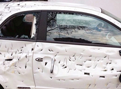 italien pète plombs détruit voiture coup hache