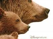 Grizzly Notre critique