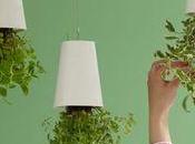 Connaissez-vous sky-planter