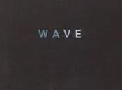 Wave, Sonali Deraniyagala