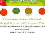 CANOPEE Découvrez journées portes ouvertes Noël pour faire plein d’orchidées tropicales cultivées Plougastel Daoulas, Bretagne, près Brest