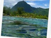 Lagoonarium Moorea, passage obligé