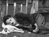 Citation jour, bonjour