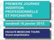 PSYCHIATRIE Première journée insertion professionnelle psychiatrie, janvier 2015 CHRU Tours