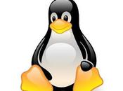 #Linux, système d’exploitation performant