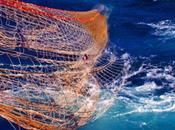 Bloom, l’association préservation marine, paye nouveau pêcheurs d’Intermarché