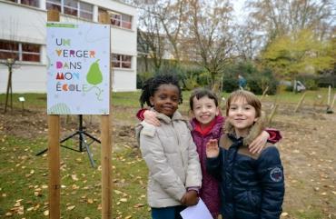 Des vergers bio vont être installés dans les écoles parisiennes