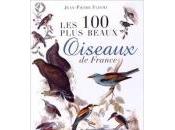 Jean-Pierre Fleury plus beaux oiseaux France