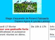 Stage d’une journée Roland Palmaerts Lys-les-Lannoy