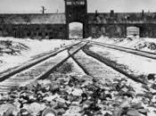 1939 1945 CICR face l’holocauste