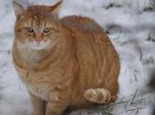 #2015projet52 #week5 #froid