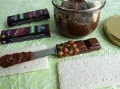 pâte tartiner diététique allégée chocolatée fèves cacao (sans sucre beurre ajoutés avec stévia)