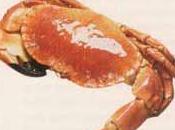 Mignardises crabe calmars ventrèche roulée