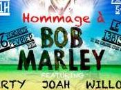 Bernay-radio.fr rend hommage Marley février 2015, raté…