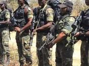 L’armée Camerounaise arrête soldats français combattant cotés Boko Haram
