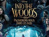 "Into Woods": promenade dans l’univers conte