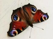 Attention, voie d'eau