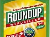 Monsanto accusé mensongère pour Roundup