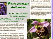 Flore protégée Toulois