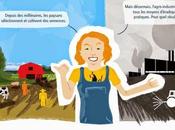 Bataille pour semences: infographie comprendre