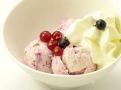 CREME GLACEE VANILLE &amp; COULIS FRUITS ROUGES CHANTILLY MAISON