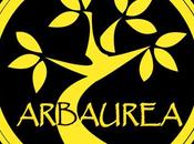 blog Concours avec ARBAUREA