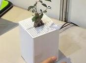 plante émotive, nouveau "concept" japonais