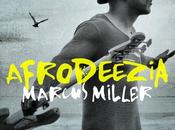Marcus Miller Afrodeezia