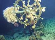 "bateau fantôme" intact découvert large côtes d'Hawaï