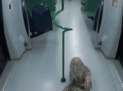 Caméra cachée chaud devant, zombies dans métro
