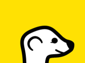 Meerkat Periscope nouvelle guerre applications Live streaming